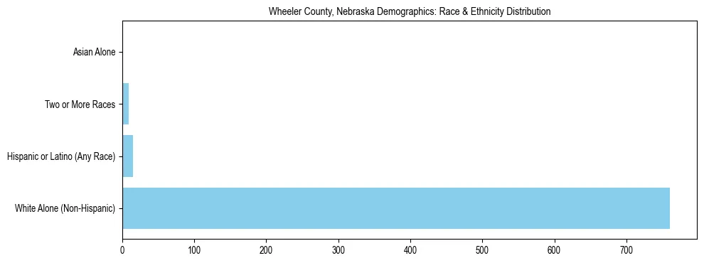 Race and Ethnicity Distribution Chart for Wheeler County, Nebraska