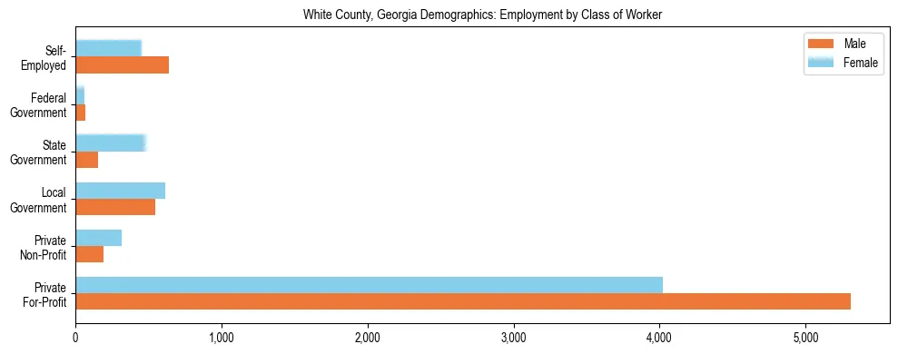 Horizontal bar chart showing employment distribution by class of worker and gender in White County, Georgia, based on 2023 ACS data.
