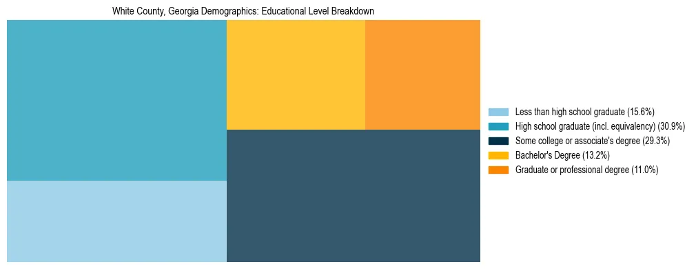 Treemap chart illustrating the educational attainment breakdown for population 25 years and over in White County, Georgia.