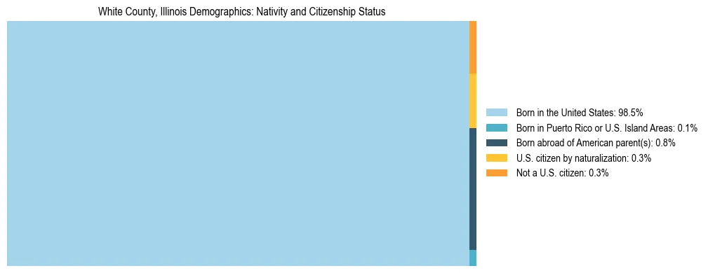 Treemap showing the population distribution by nativity and citizenship status in White County, Illinois based on U.S. Census data.
