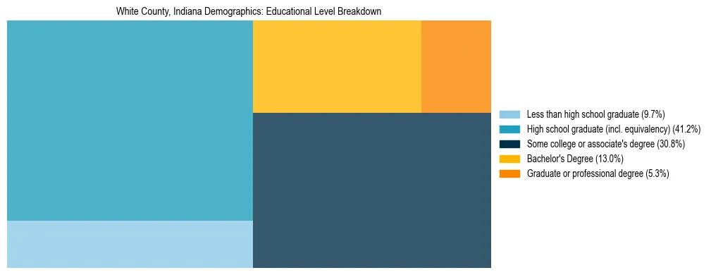Treemap chart illustrating the educational attainment breakdown for population 25 years and over in White County, Indiana.