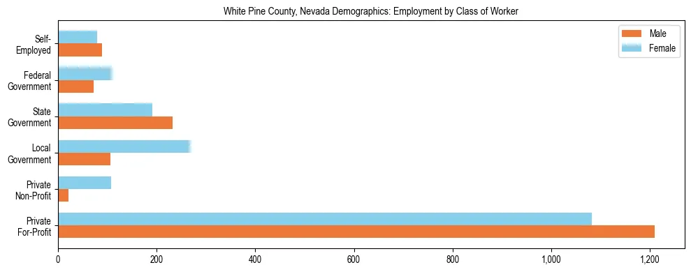 Horizontal bar chart showing employment distribution by class of worker and gender in White Pine County, Nevada, based on 2023 ACS data.