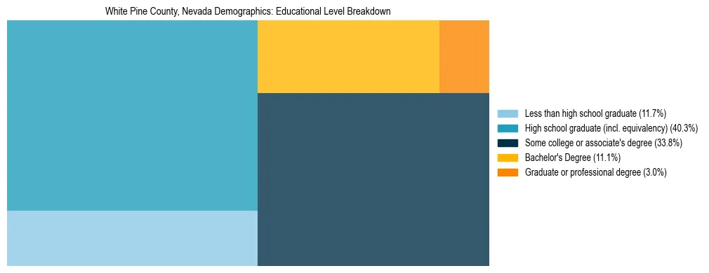 Treemap chart illustrating the educational attainment breakdown for population 25 years and over in White Pine County, Nevada.