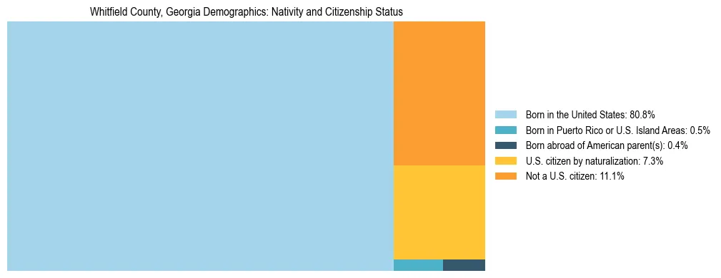 Treemap showing the population distribution by nativity and citizenship status in Whitfield County, Georgia based on U.S. Census data.