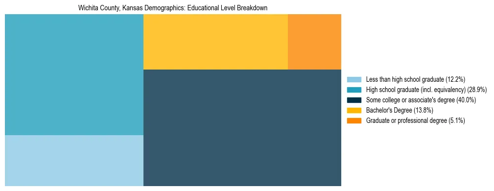 Treemap chart illustrating the educational attainment breakdown for population 25 years and over in Wichita County, Kansas.