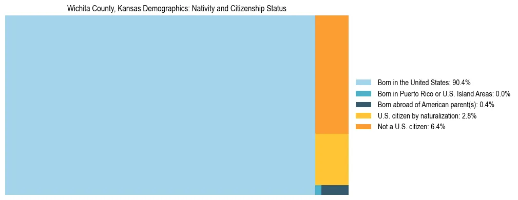 Treemap showing the population distribution by nativity and citizenship status in Wichita County, Kansas based on U.S. Census data.