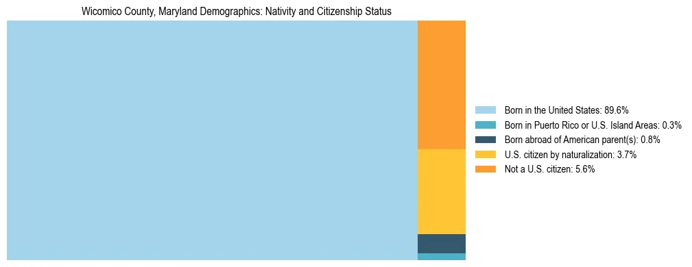Treemap showing the population distribution by nativity and citizenship status in Wicomico County, Maryland based on U.S. Census data.