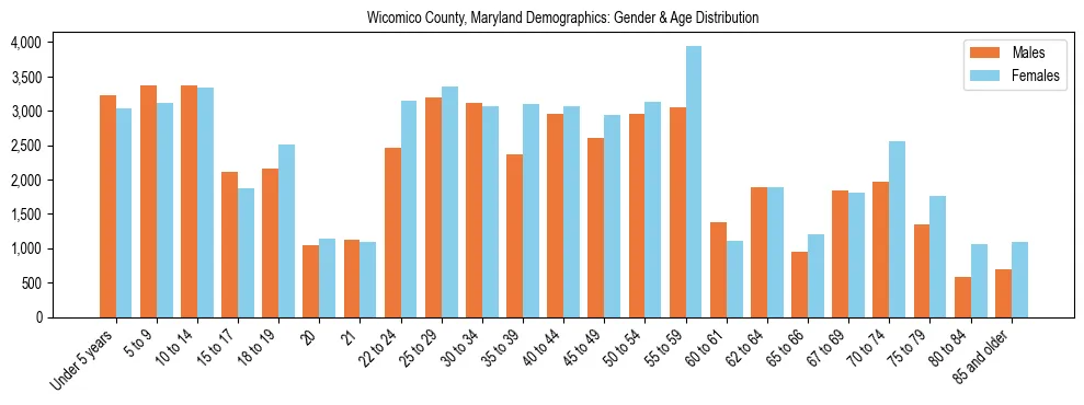 Bar chart showing the population distribution of Wicomico County, Maryland by age group and gender, based on 2023 ACS data.