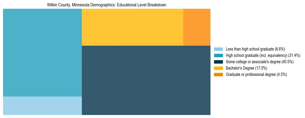Treemap chart illustrating the educational attainment breakdown for population 25 years and over in Wilkin County, Minnesota.