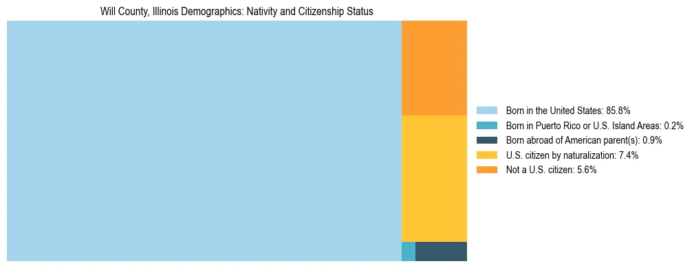 Treemap showing the population distribution by nativity and citizenship status in Will County, Illinois based on U.S. Census data.