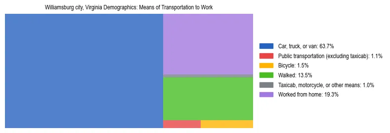 Treemap showing means of transportation to work distribution in Williamsburg city, Virginia.