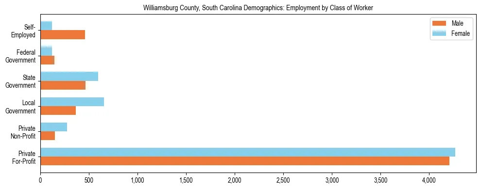 Horizontal bar chart showing employment distribution by class of worker and gender in Williamsburg County, South Carolina, based on 2023 ACS data.