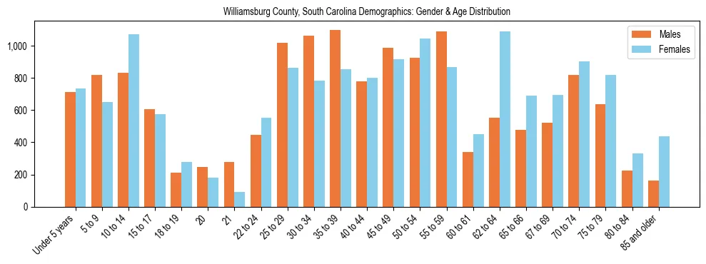 Bar chart showing the population distribution of Williamsburg County, South Carolina by age group and gender, based on 2023 ACS data.