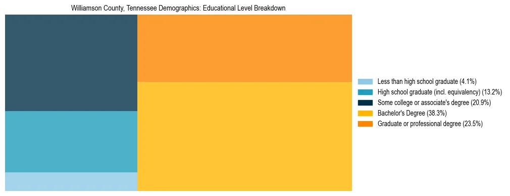 Treemap chart illustrating the educational attainment breakdown for population 25 years and over in Williamson County, Tennessee.