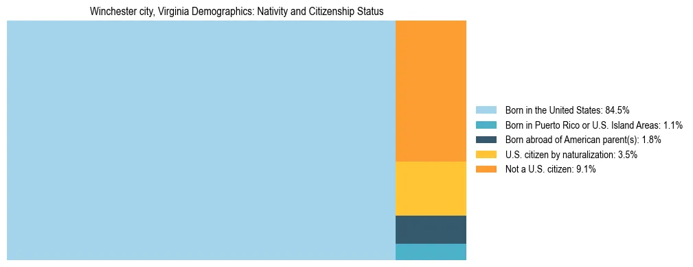 Treemap showing the population distribution by nativity and citizenship status in Winchester city, Virginia based on U.S. Census data.