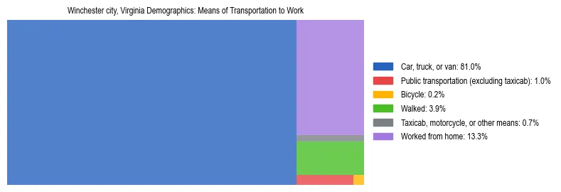 Treemap showing means of transportation to work distribution in Winchester city, Virginia.