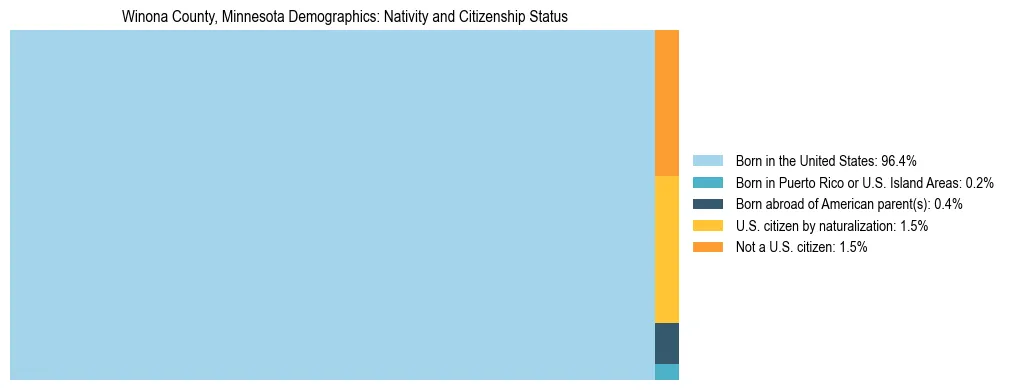 Treemap showing the population distribution by nativity and citizenship status in Winona County, Minnesota based on U.S. Census data.