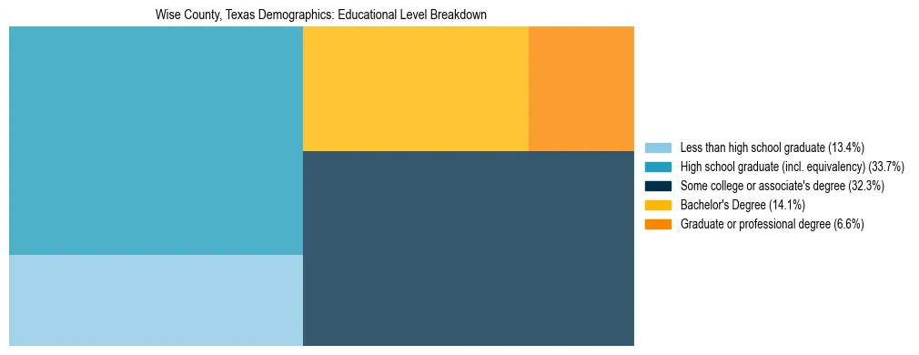 Treemap chart illustrating the educational attainment breakdown for population 25 years and over in Wise County, Texas.
