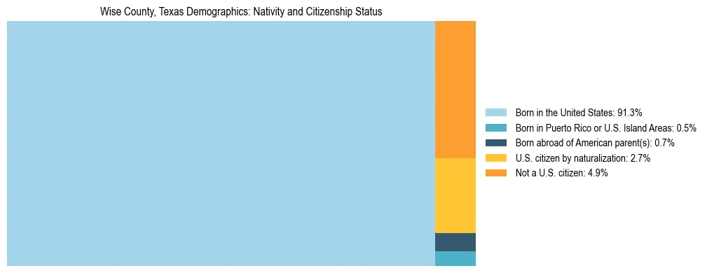 Treemap showing the population distribution by nativity and citizenship status in Wise County, Texas based on U.S. Census data.