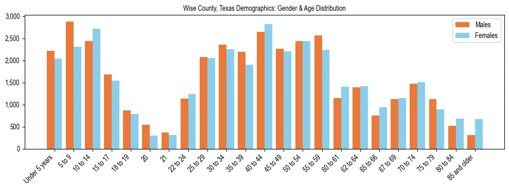 Bar chart showing the population distribution of Wise County, Texas by age group and gender, based on 2023 ACS data.