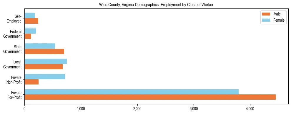 Horizontal bar chart showing employment distribution by class of worker and gender in Wise County, Virginia, based on 2023 ACS data.