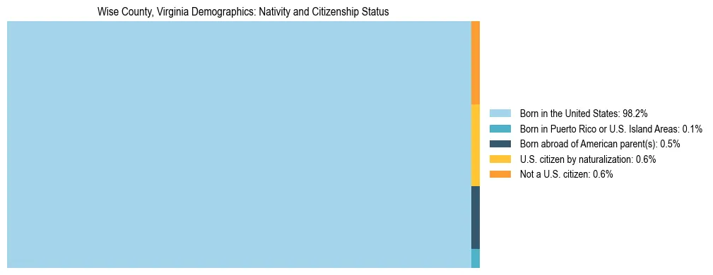 Treemap showing the population distribution by nativity and citizenship status in Wise County, Virginia based on U.S. Census data.