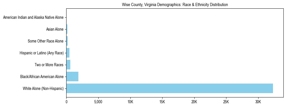 Race and Ethnicity Distribution Chart for Wise County, Virginia