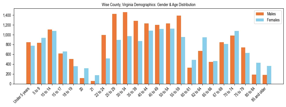 Bar chart showing the population distribution of Wise County, Virginia by age group and gender, based on 2023 ACS data.