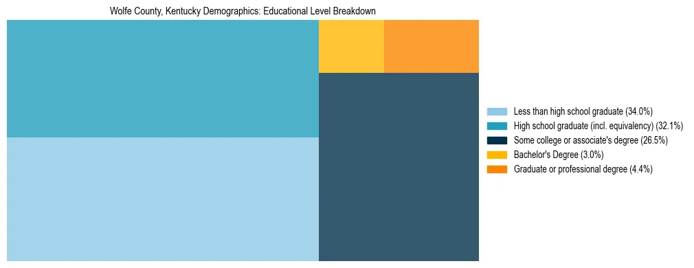 Treemap chart illustrating the educational attainment breakdown for population 25 years and over in Wolfe County, Kentucky.