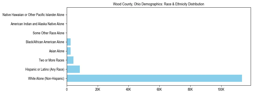 Race and Ethnicity Distribution Chart for Wood County, Ohio