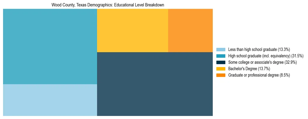 Treemap chart illustrating the educational attainment breakdown for population 25 years and over in Wood County, Texas.