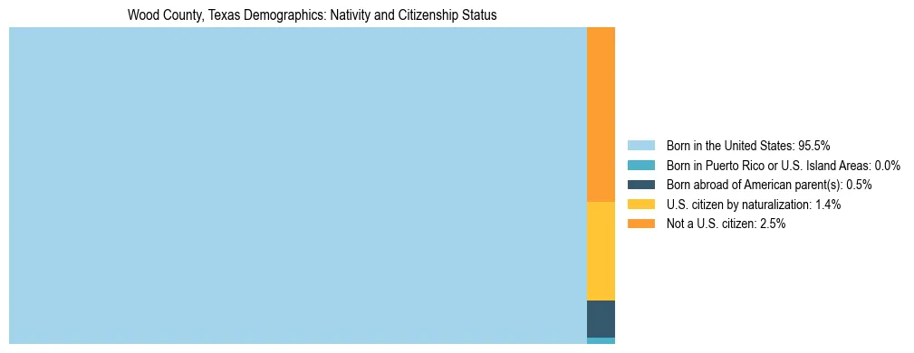Treemap showing the population distribution by nativity and citizenship status in Wood County, Texas based on U.S. Census data.