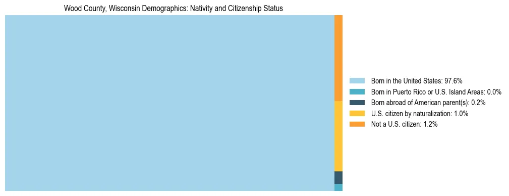 Treemap showing the population distribution by nativity and citizenship status in Wood County, Wisconsin based on U.S. Census data.