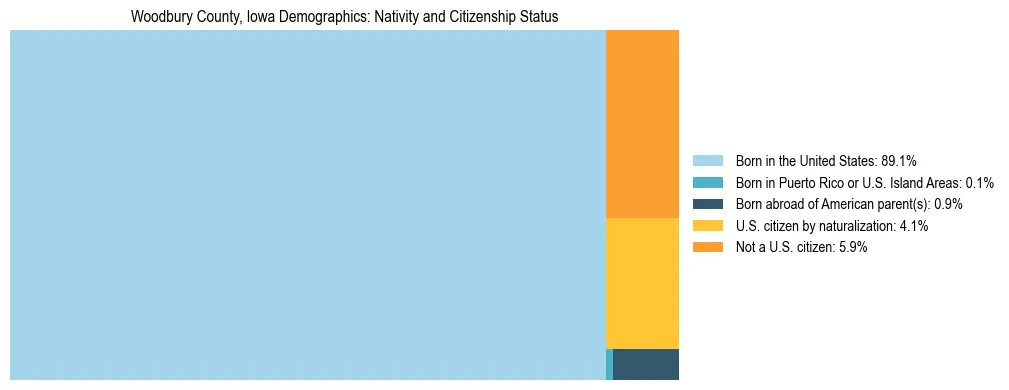 Treemap showing the population distribution by nativity and citizenship status in Woodbury County, Iowa based on U.S. Census data.
