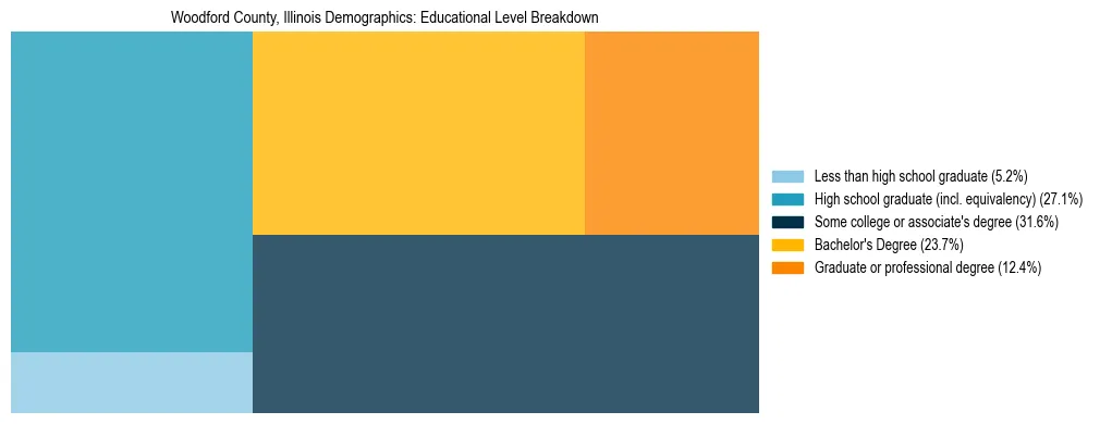 Treemap chart illustrating the educational attainment breakdown for population 25 years and over in Woodford County, Illinois.