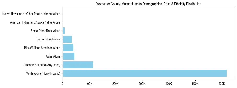 Race and Ethnicity Distribution Chart for Worcester County, Massachusetts