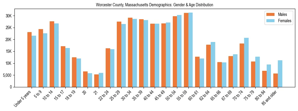 Bar chart showing the population distribution of Worcester County, Massachusetts by age group and gender, based on 2023 ACS data.