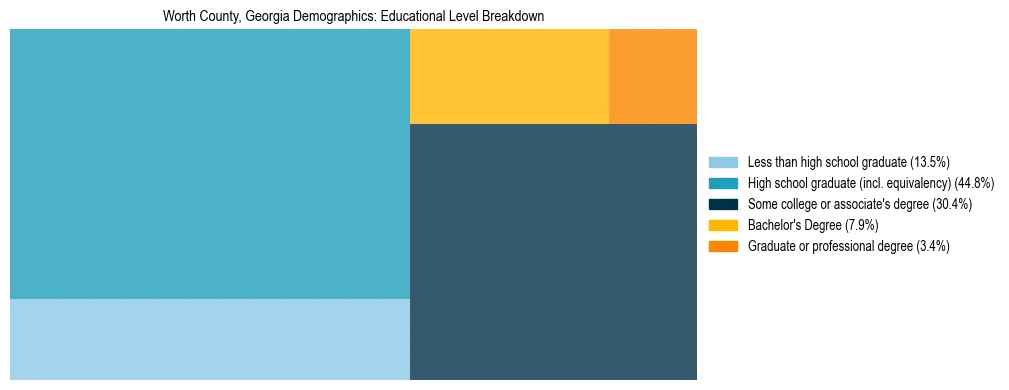 Treemap chart illustrating the educational attainment breakdown for population 25 years and over in Worth County, Georgia.