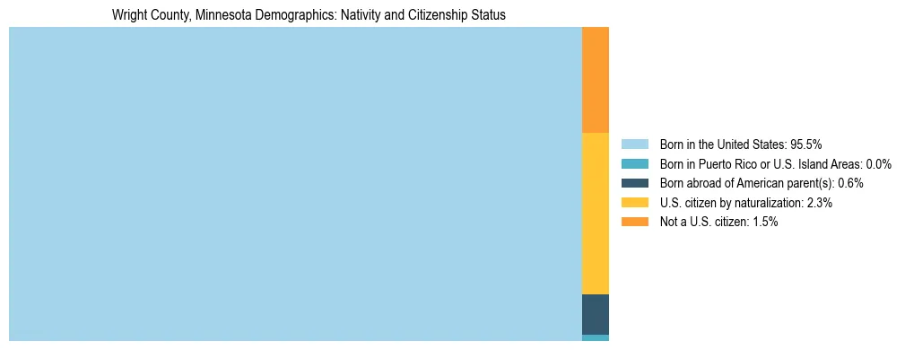 Treemap showing the population distribution by nativity and citizenship status in Wright County, Minnesota based on U.S. Census data.