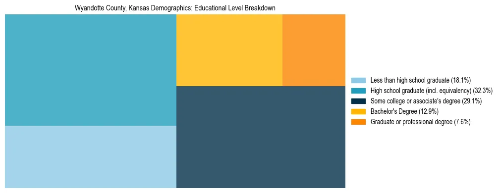 Treemap chart illustrating the educational attainment breakdown for population 25 years and over in Wyandotte County, Kansas.
