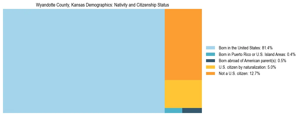 Treemap showing the population distribution by nativity and citizenship status in Wyandotte County, Kansas based on U.S. Census data.