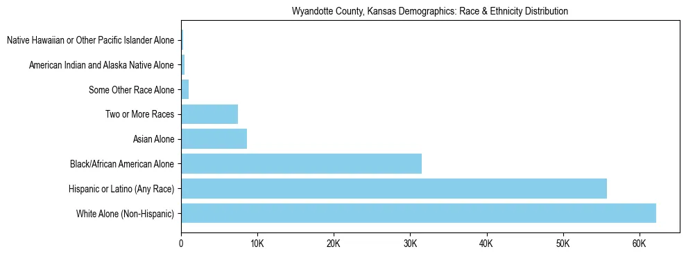 Race and Ethnicity Distribution Chart for Wyandotte County, Kansas
