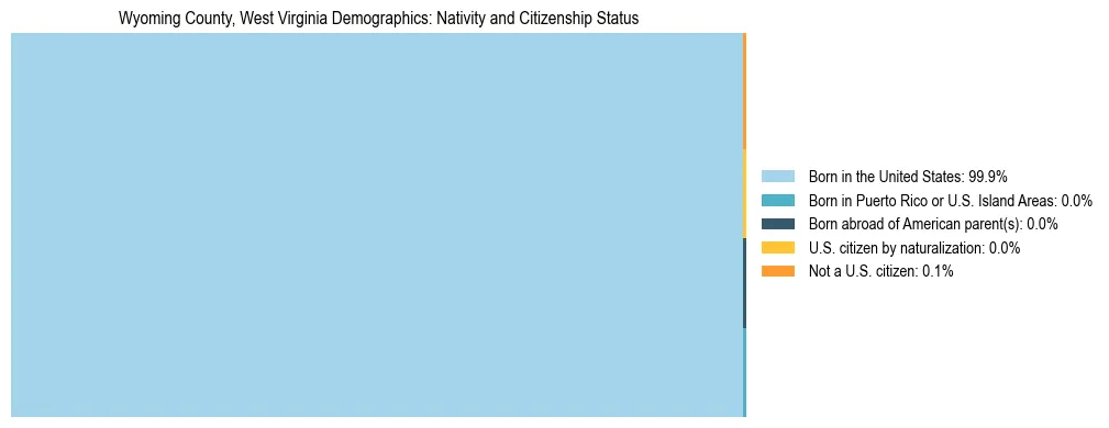 Treemap showing the population distribution by nativity and citizenship status in Wyoming County, West Virginia based on U.S. Census data.