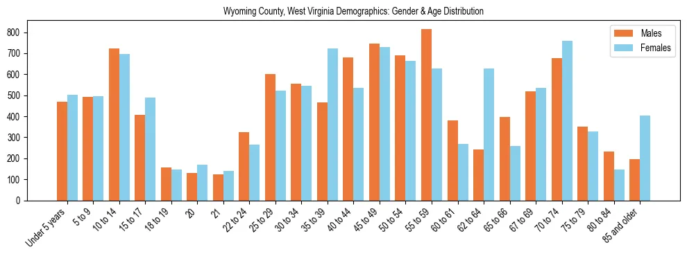 Bar chart showing the population distribution of Wyoming County, West Virginia by age group and gender, based on 2023 ACS data.