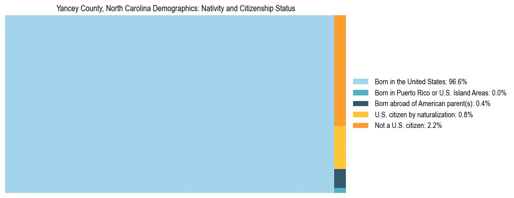 Treemap showing the population distribution by nativity and citizenship status in Yancey County, North Carolina based on U.S. Census data.