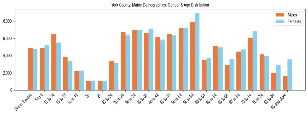 Population pyramid for York County, Maine showing male vs female age distribution based on 2023 ACS data.