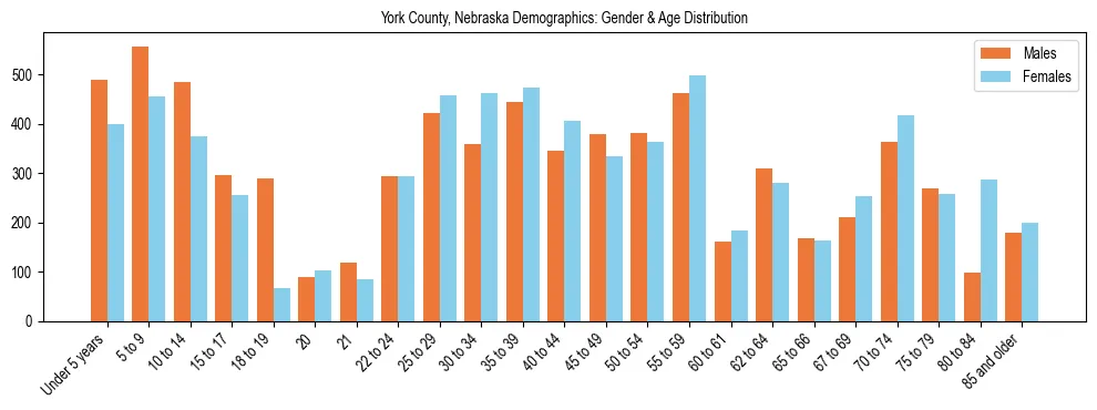 Bar chart showing the population distribution of York County, Nebraska by age group and gender, based on 2023 ACS data.