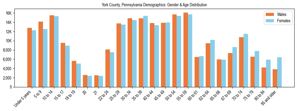 Bar chart showing the population distribution of York County, Pennsylvania by age group and gender, based on 2023 ACS data.