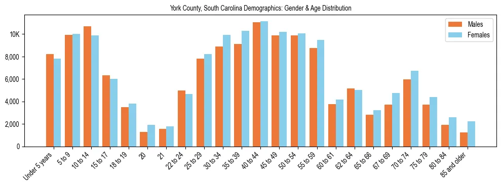 Bar chart showing the population distribution of York County, South Carolina by age group and gender, based on 2023 ACS data.