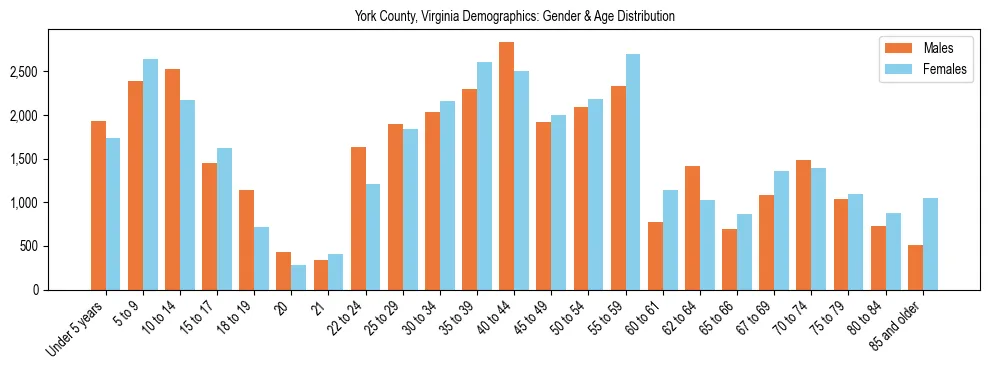 Bar chart showing the population distribution of York County, Virginia by age group and gender, based on 2023 ACS data.